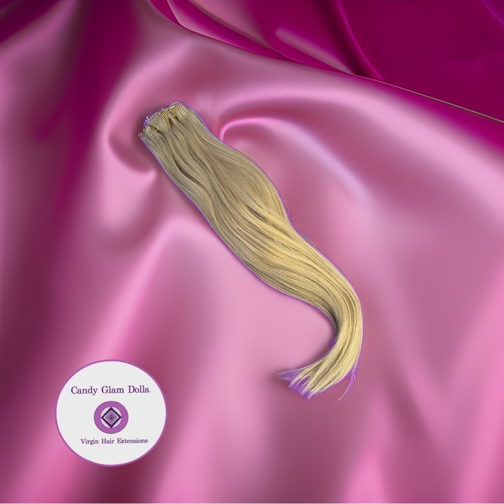 NWT Clip in extensions Russian hair